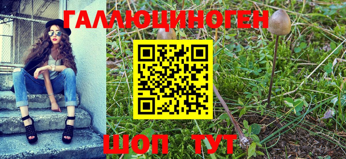Псилоцибиновые грибы Cubensis Пугачёв